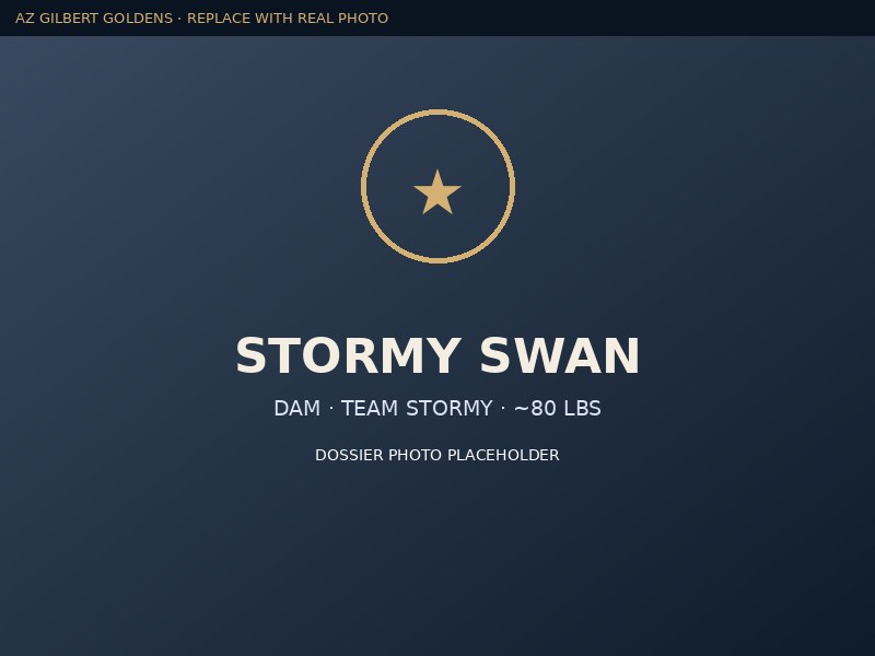 Stormy